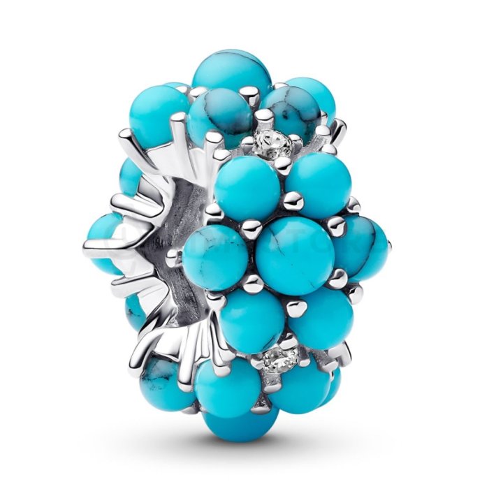 Pandora Moments 793897C02