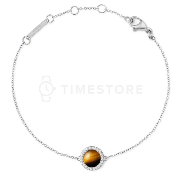 Daniel Wellington DW00401439