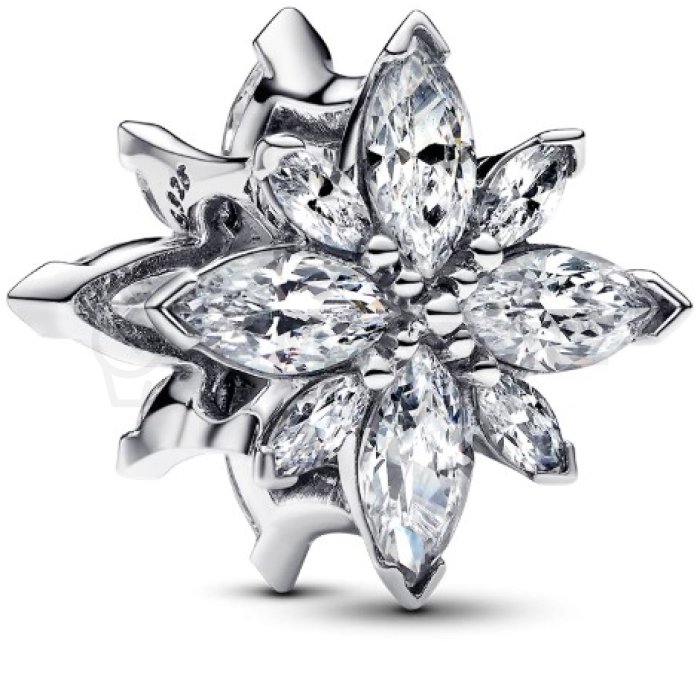 Pandora Moments 793591C01