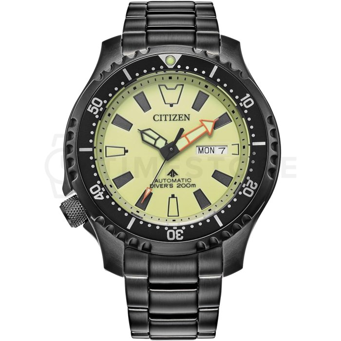 Citizen Promaster NY0155-58X