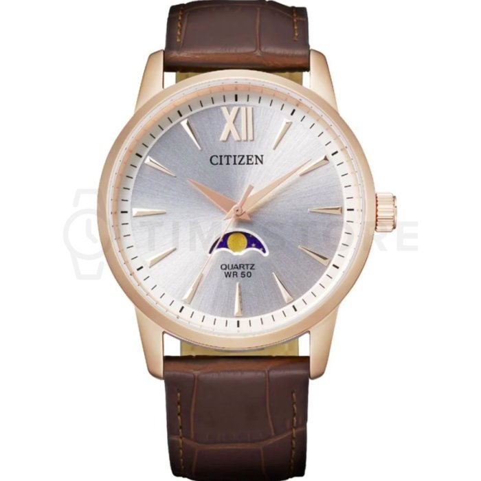 Citizen Quartz AK5003-05A